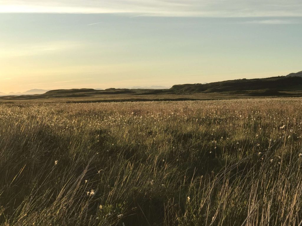 A hazy late afternoon photograph of the grassy planes running down from the foot of the hills at the base of the self-catering accommodation and on towards Loch Dunvegan. 